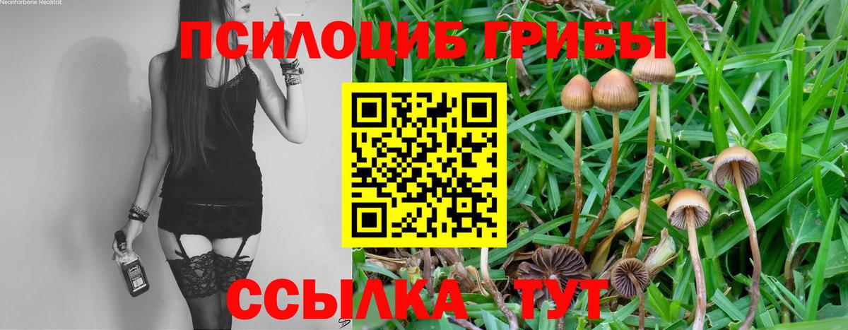 Псилоцибиновые грибы прущие грибы  Псилоцибиновые грибы MAGIC MUSHROOMS  Кисловодск  Вход с VPN 